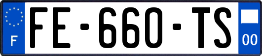 FE-660-TS