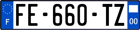 FE-660-TZ