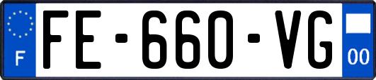 FE-660-VG