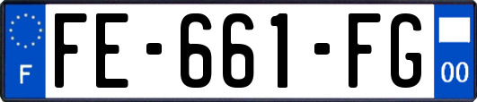 FE-661-FG