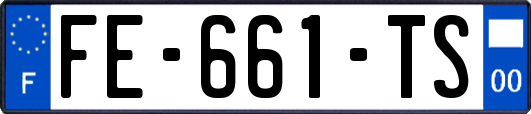 FE-661-TS