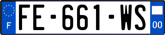 FE-661-WS