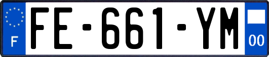 FE-661-YM