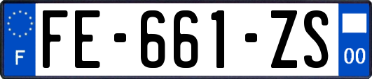 FE-661-ZS