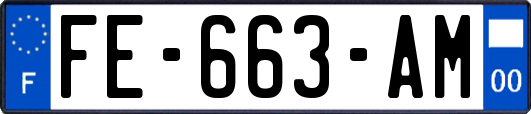 FE-663-AM