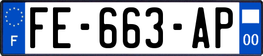 FE-663-AP