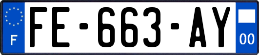FE-663-AY