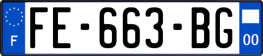 FE-663-BG