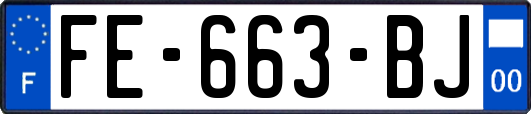 FE-663-BJ