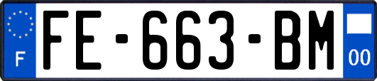FE-663-BM