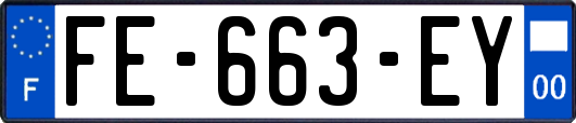 FE-663-EY