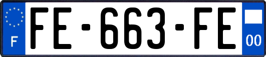 FE-663-FE