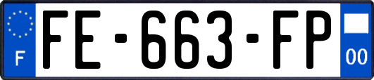 FE-663-FP