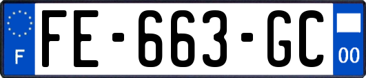 FE-663-GC