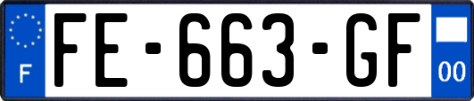 FE-663-GF
