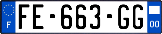 FE-663-GG