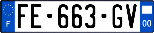 FE-663-GV