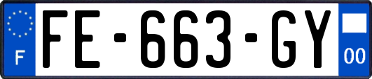 FE-663-GY