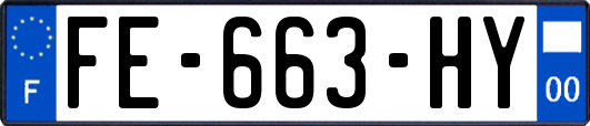 FE-663-HY