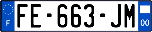 FE-663-JM