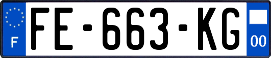 FE-663-KG