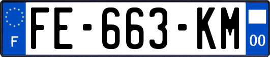 FE-663-KM