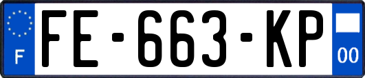 FE-663-KP
