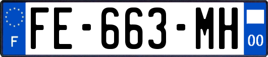 FE-663-MH
