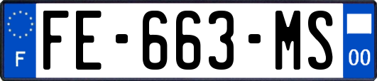 FE-663-MS