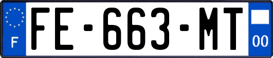 FE-663-MT