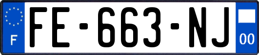 FE-663-NJ