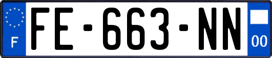 FE-663-NN