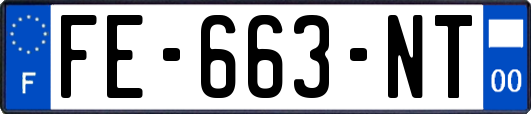 FE-663-NT