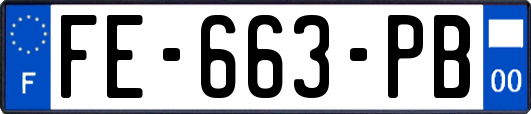 FE-663-PB