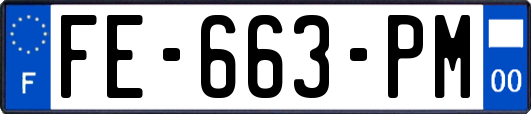 FE-663-PM