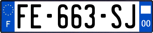 FE-663-SJ