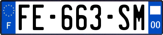 FE-663-SM