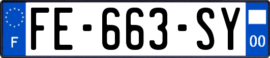 FE-663-SY