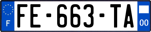 FE-663-TA