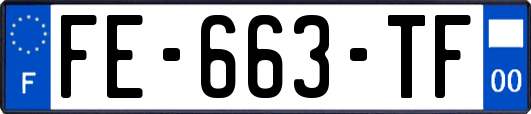 FE-663-TF