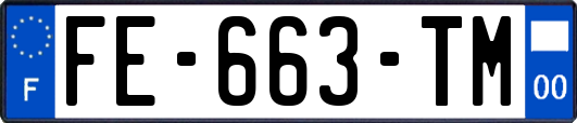 FE-663-TM