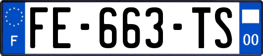 FE-663-TS