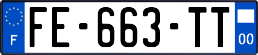 FE-663-TT