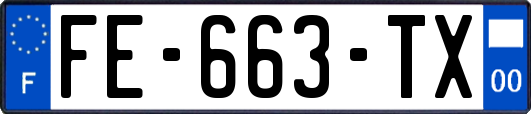 FE-663-TX