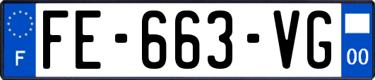 FE-663-VG