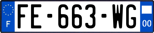 FE-663-WG