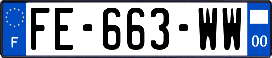 FE-663-WW