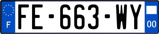 FE-663-WY