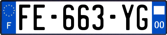 FE-663-YG