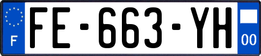 FE-663-YH